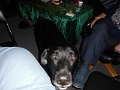 Familie Julefrokost - 06122014 021